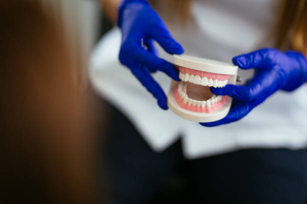 Trusted South Hill, WA Holistic Dental Care Services Experts